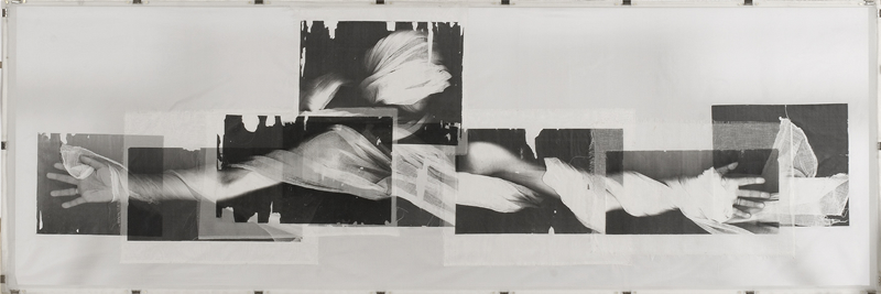 Visual Artist & Mixed Media - Denise Zygadlo