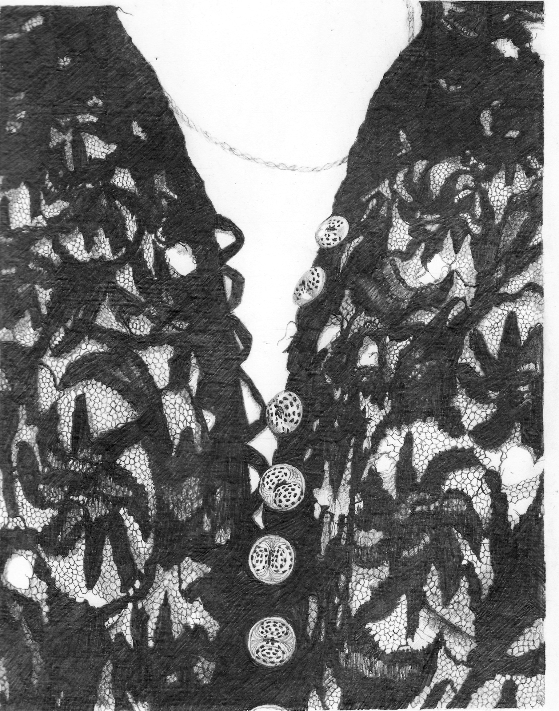 SSA Professional members exhibition