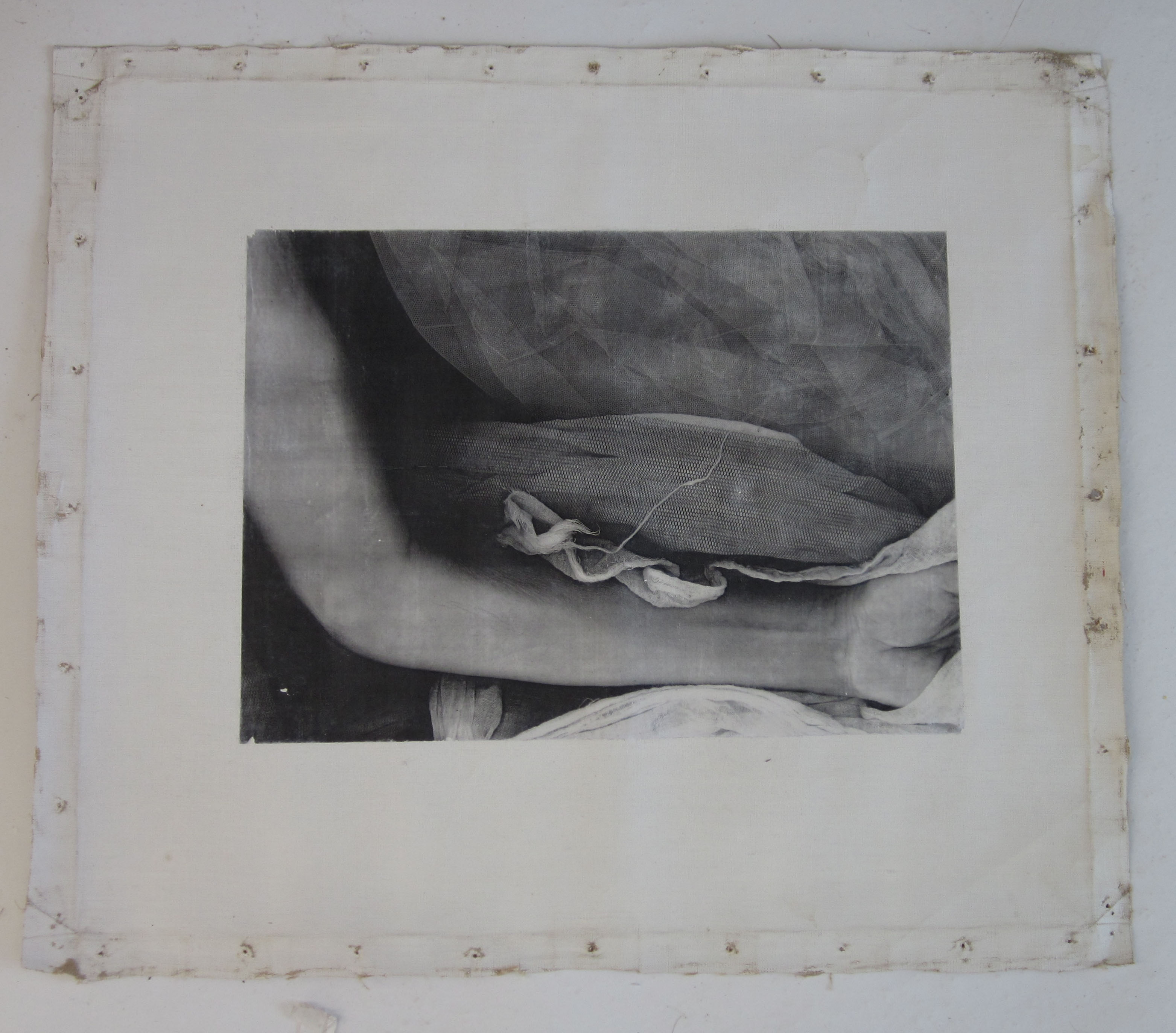 Scottish Society of Artists 2013