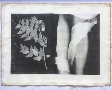 RSA Open Summer Show